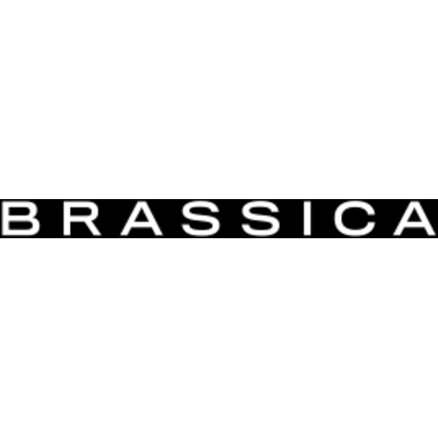 Brassica