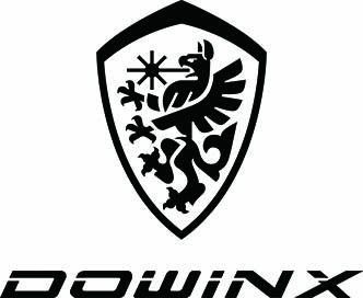 Dowinx Online
