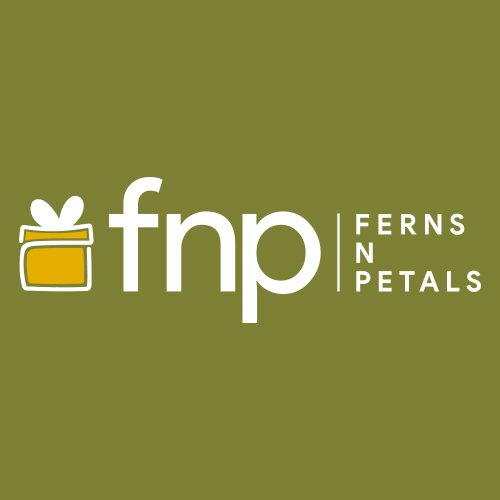 Ferns N Petals Online