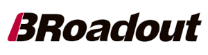 BRoadout Online
