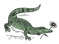 Daisy's Po' Boy and Tavern