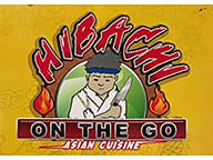 Hibachi On The Go