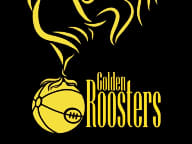 GOLDEN ROOSTERS - Seattle