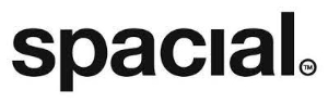 Spacial Audio Online
