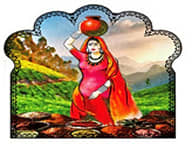 Indias Kitchen II