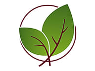 Basil Cafe