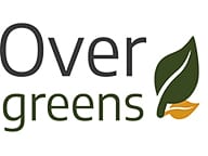 Overgreens Myrtle