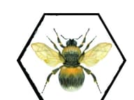 Bee's Knees  Honey Lounge