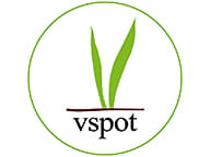 The V Spot