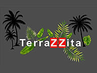 Terrazzita