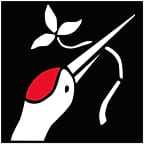 Maizuru Sushi Bar & Japanese Restaurant