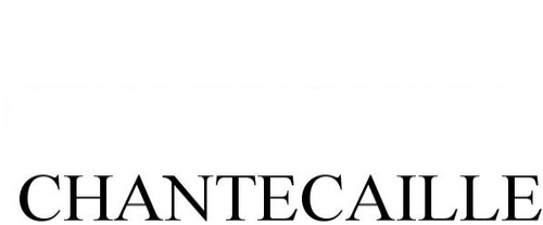 Chantecaille Online
