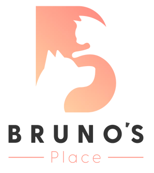 Bruno's Place Online