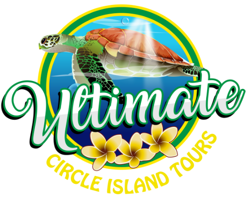 Ultimate Circle Island Tours Online