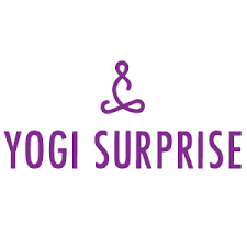 Yogi Surprise Online