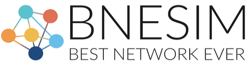 BNESIM Online