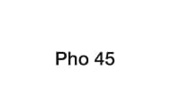 Pho 45